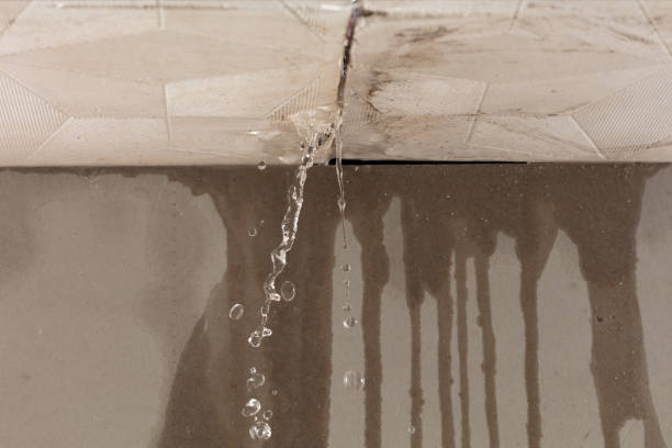 Professional Water Damage Inspection technician working in Finley, TN